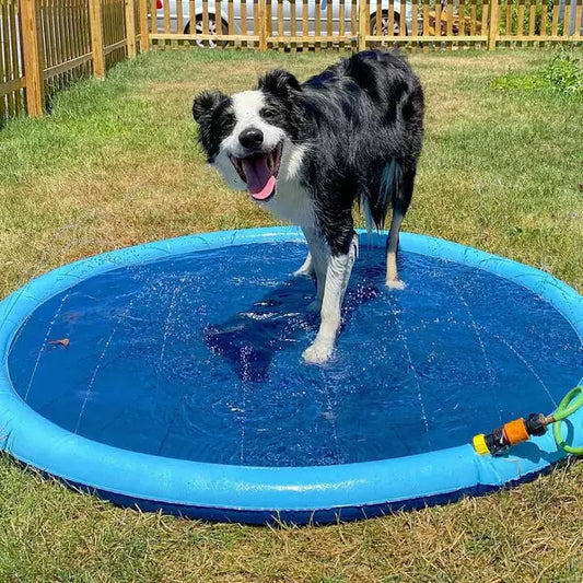 Dog Sprinkler Pad